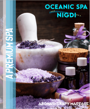 Aromatherapy Massage in Nigdi